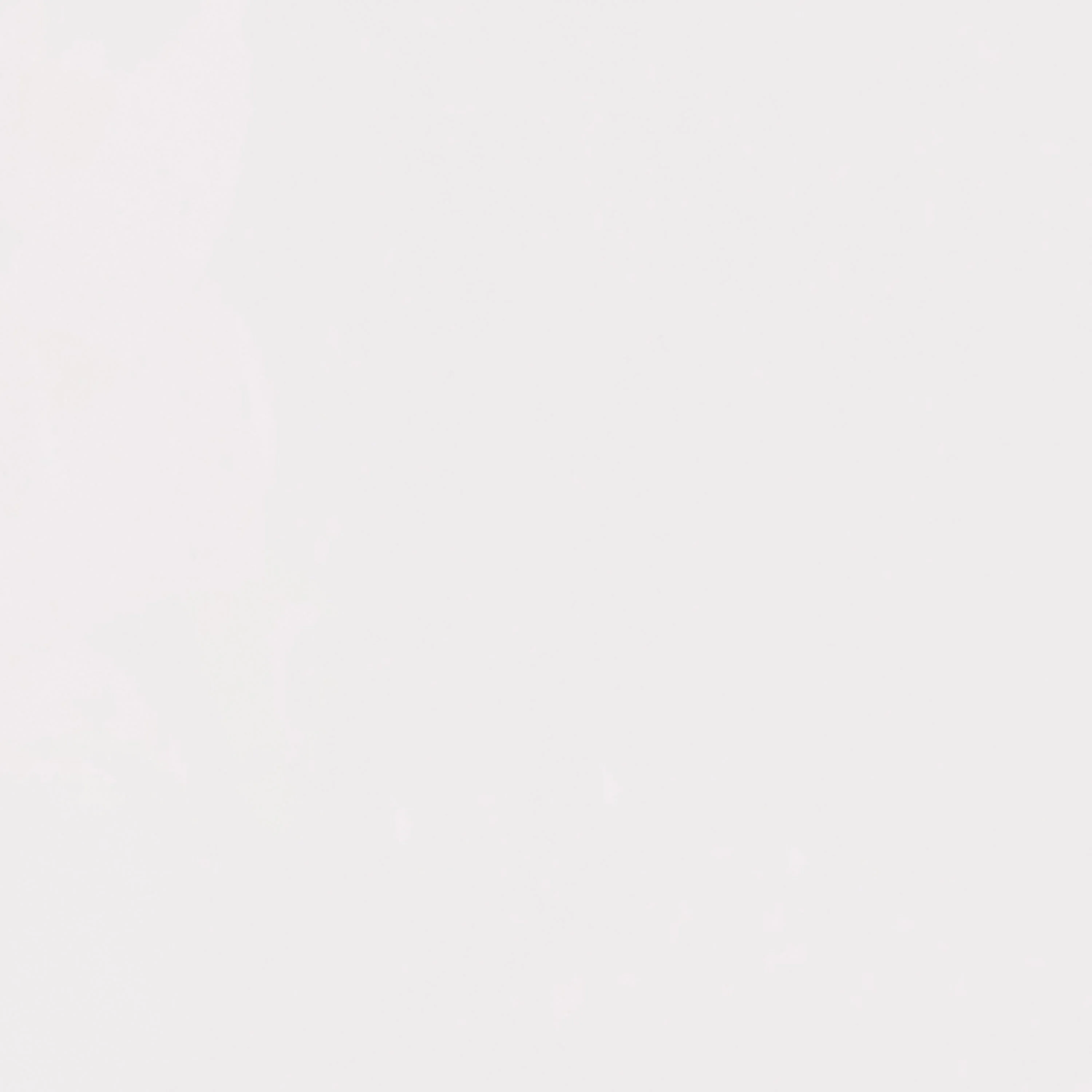 Set of 4 Extra Wide Resin 700 LB. Weight Capacity Banquet and Event Ghost Chairs for Indoor/Outdoor Use - Image 14